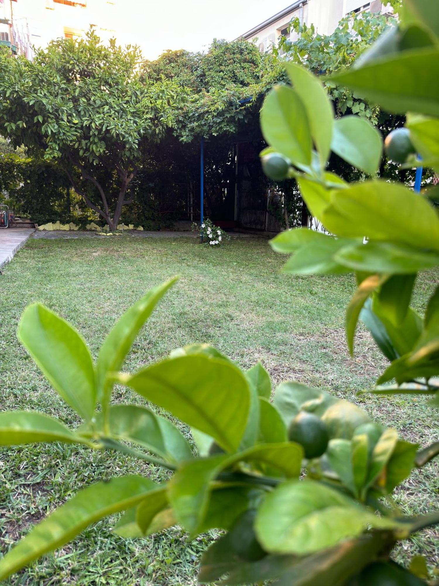 Valentinas Garden Apartment สปลิท ภายนอก รูปภาพ